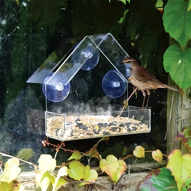 🐦🏡 Clear Acrylic Window Bird Feeder with Suction Cups