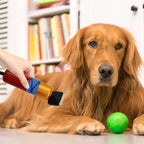 🐶✂️ Professional Pet Hair Clipper – Low Noise Variable Speed Grooming Machine