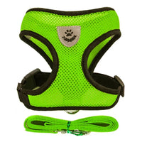 GREEN / M