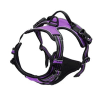 Purple / S