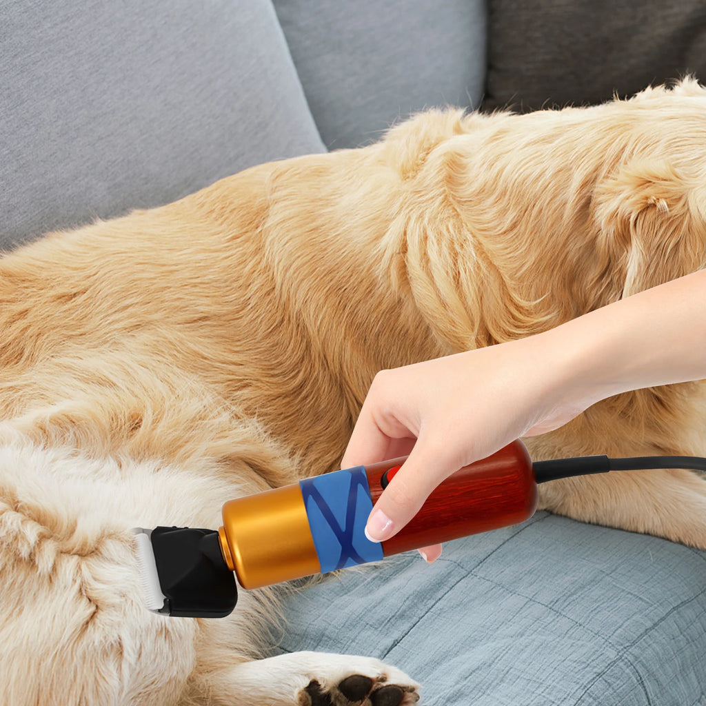 🐶✂️ Professional Pet Hair Clipper – Low Noise Variable Speed Grooming Machine