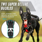 🐾🦺 Dog Harness Vest & Leather Leash Set – Collar Accessories