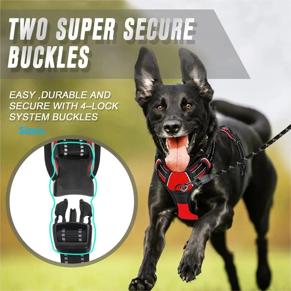 🐾🦺 Dog Harness Vest & Leather Leash Set – Collar Accessories