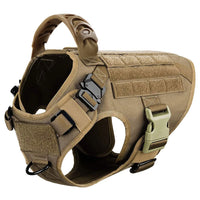 Brown Harness / S