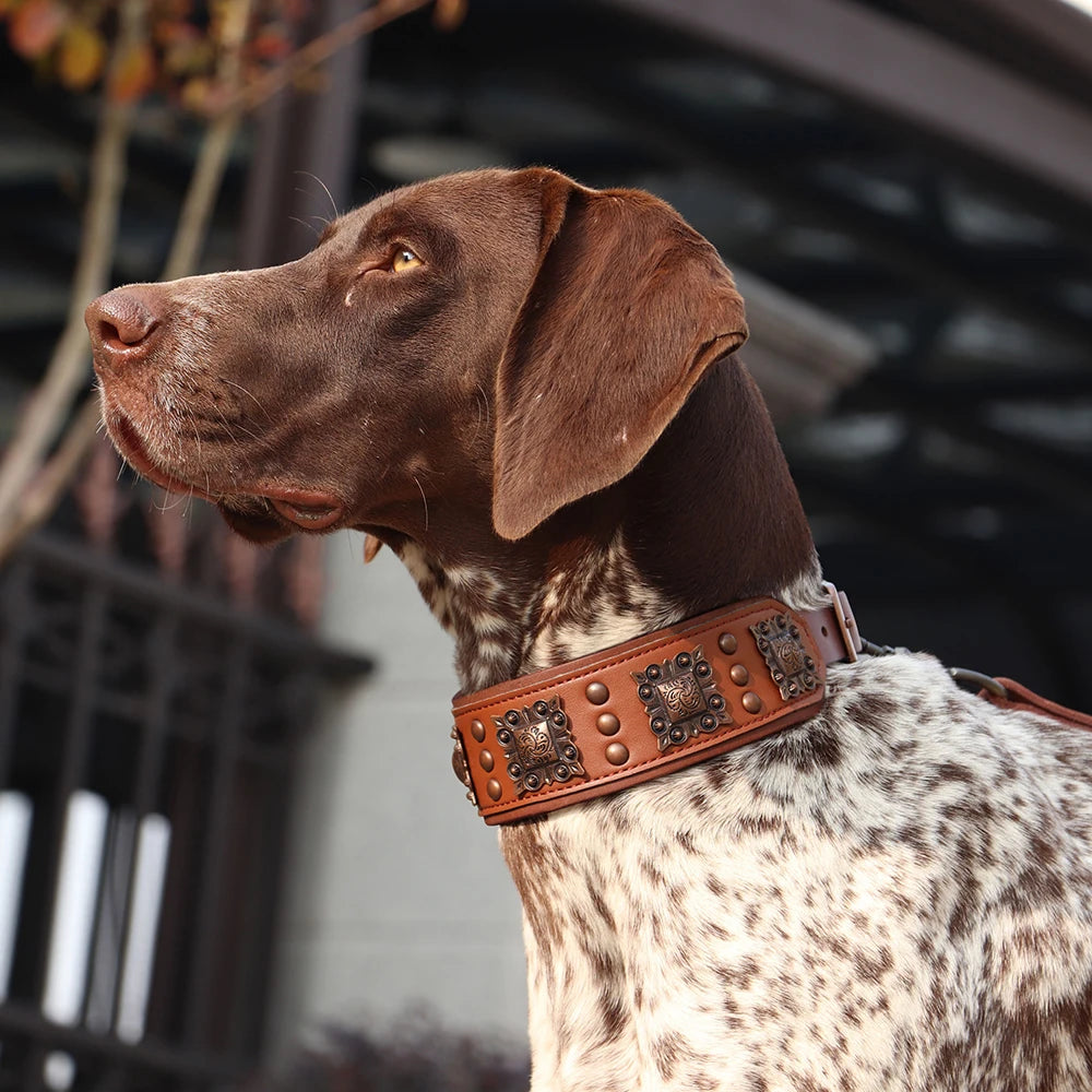 🐕🛡️ Spiked Leather Dog Collar – Heavy Duty Adjustable