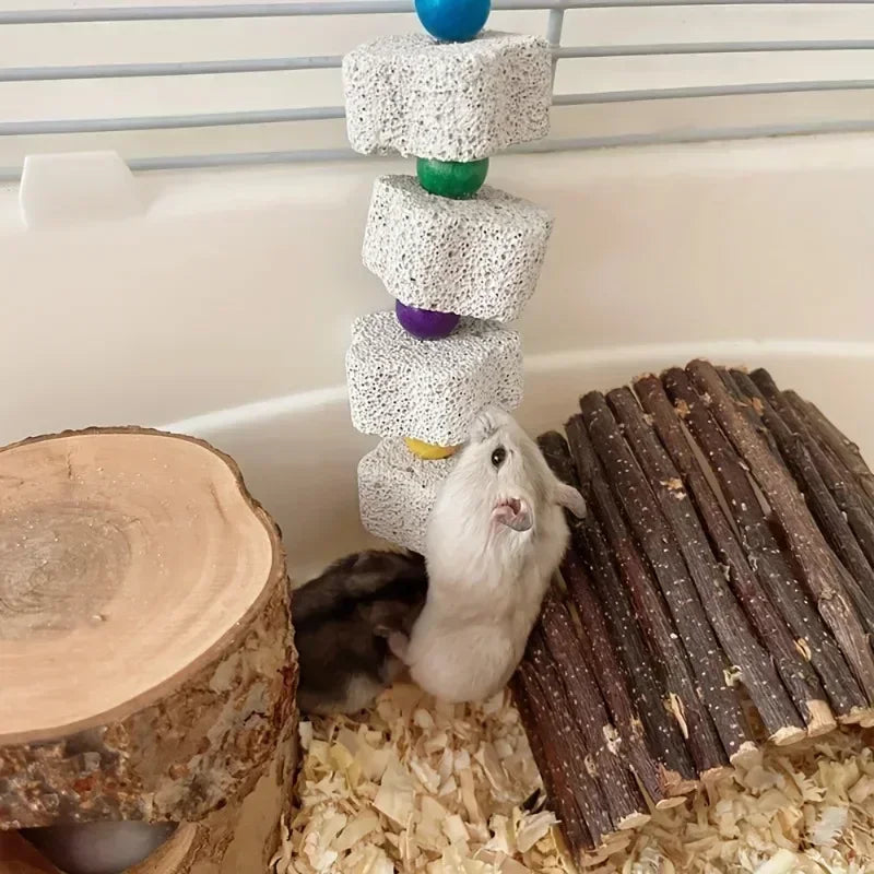 🦜🐿️ Multilayer Lava Rock Chew Toy with Colorful Beads for Small Pets