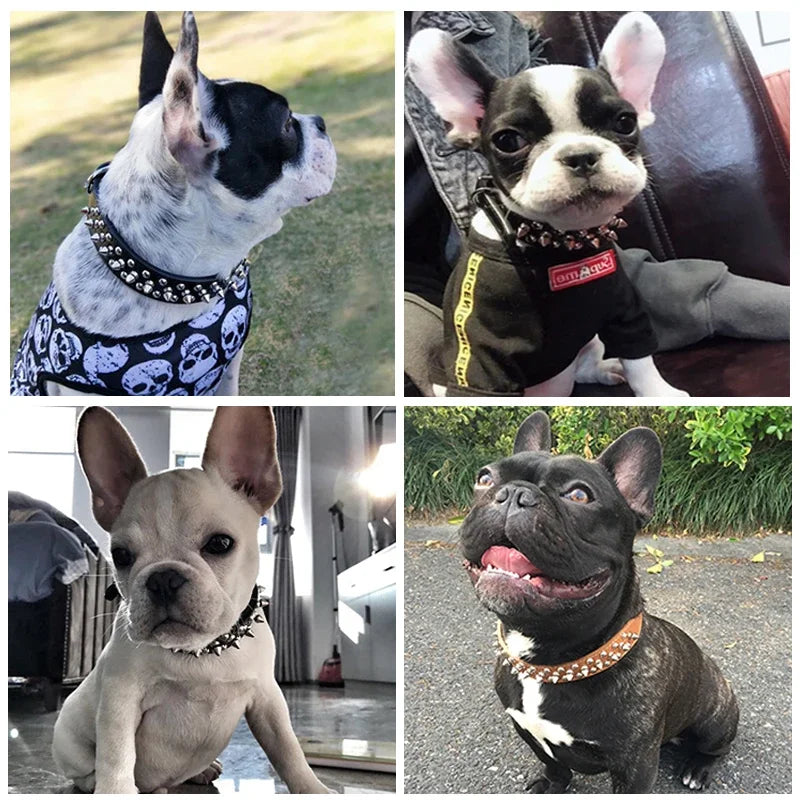 Adjustable Spiked Dog Collar 🐶 PU Leather Punk Studded Pet Collar for Small Dogs & Cats