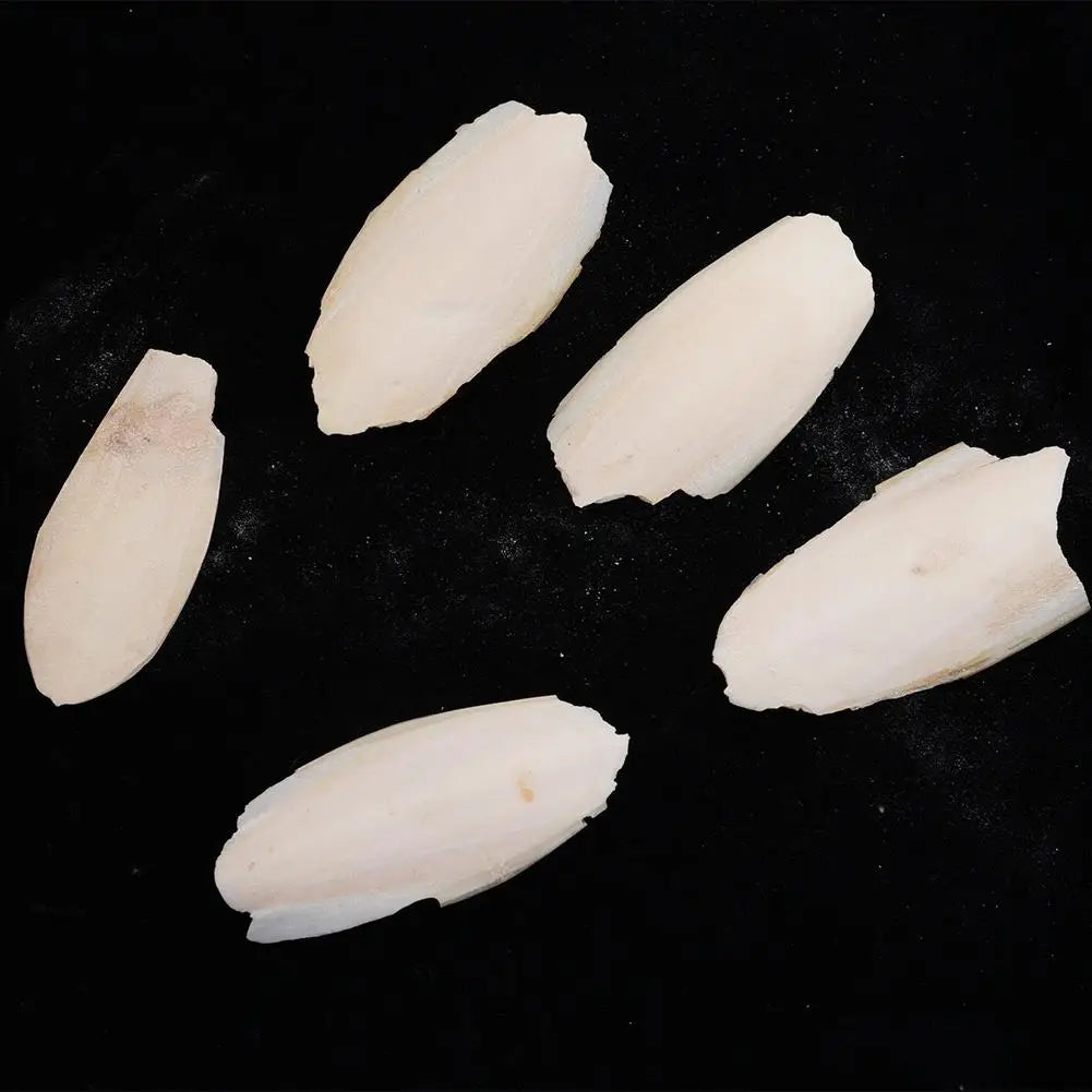 🦜🔔 Parrot Calcium Cuttlefish Bone Perch with Hanging Bell