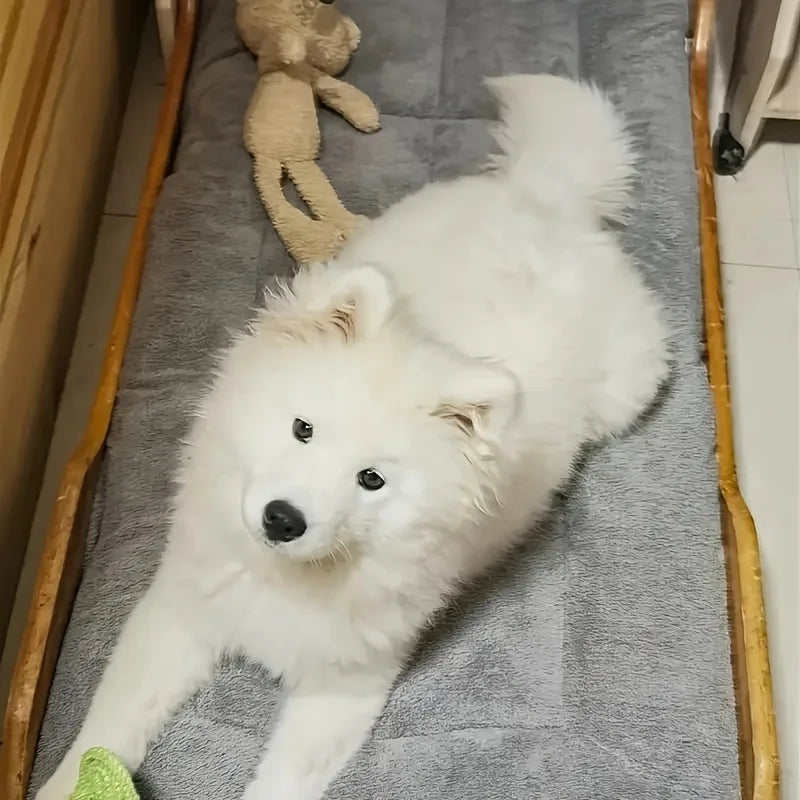 🛋️🐾 Oversized Plush Pet Bed Sofa – Ultra Soft Rectangle Mat