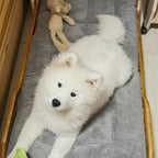 🛋️🐾 Oversized Plush Pet Bed Sofa – Ultra Soft Rectangle Mat