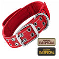 🐕🛡️ Tactical Dog Collar with Handle – Heavy Duty Double Buckle
