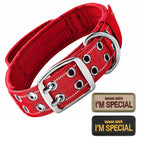 🐕🛡️ Tactical Dog Collar with Handle – Heavy Duty Double Buckle