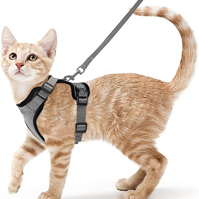 Cat Harness and Leash for Walking Escape-Proof Soft Adjustable Vest Harnesses for Cats Easy Control