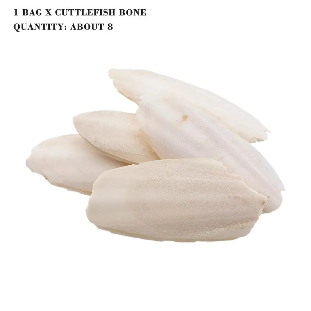 🦜🔔 Parrot Calcium Cuttlefish Bone Perch with Hanging Bell