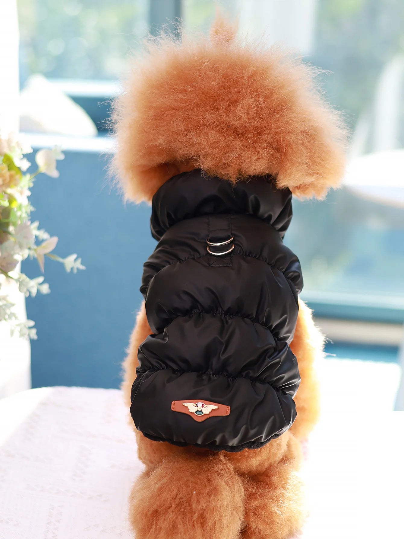 🐾❄️ 3-Layer Warm Dog Jacket – Autumn/Winter Cozy Pet Coat for Small & Medium Dogs (Poodle, Teddy, Yorkie)