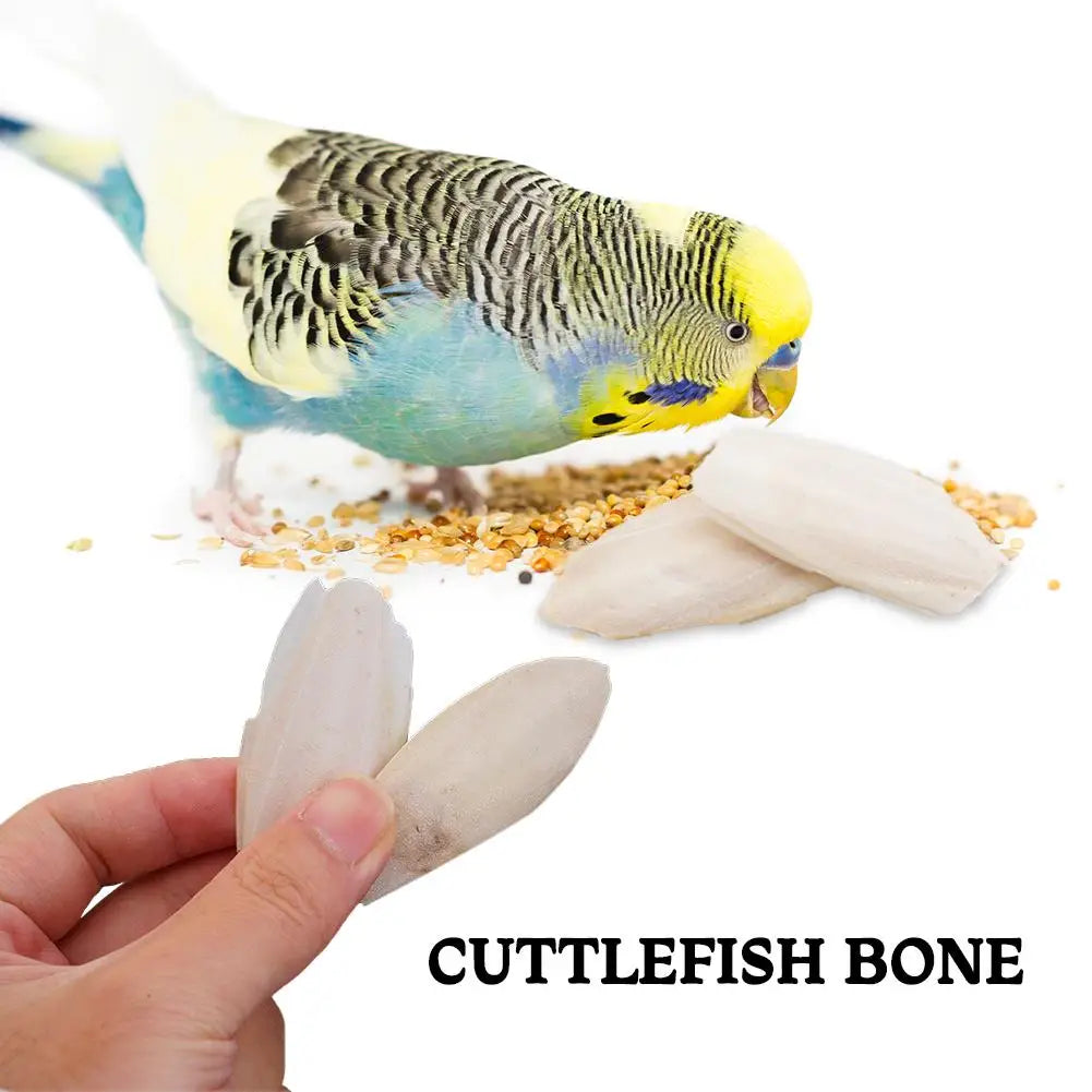 🦜🔔 Parrot Calcium Cuttlefish Bone Perch with Hanging Bell