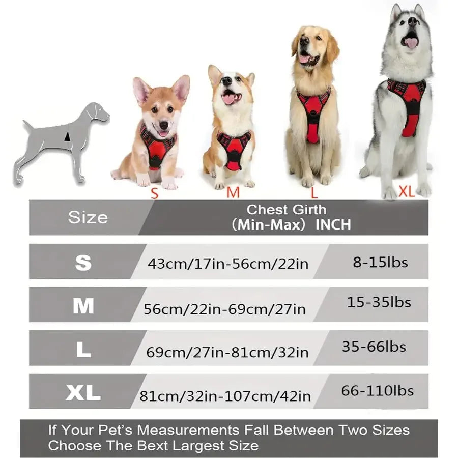 🐾🦺 Dog Harness Vest & Leather Leash Set – Collar Accessories