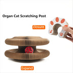 🐱🌀 Foldable Magic Organ Cat Scratching Board & Bed