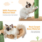 🌵🐱 5-Tier Floor-to-Ceiling Cat Tree – Cactus Climbing Tower