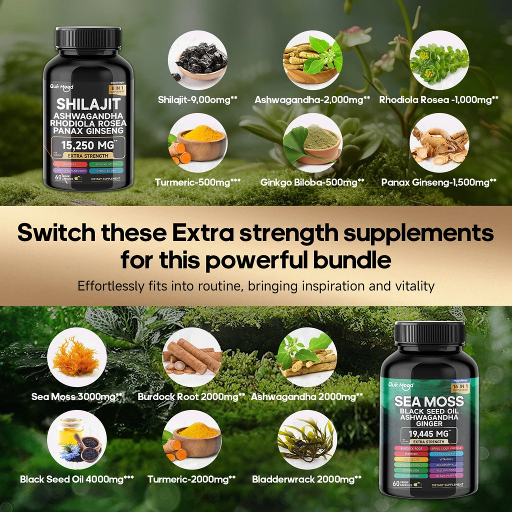 QuitMood Sea Moss & Shilajit Energy Bundle 🌿⚡ Natural Vitality Support with Black Seed Oil, Ashwagandha, Turmeric & Ginger for Men & Women