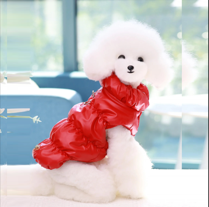 🐾❄️ 3-Layer Warm Dog Jacket – Autumn/Winter Cozy Pet Coat for Small & Medium Dogs (Poodle, Teddy, Yorkie)
