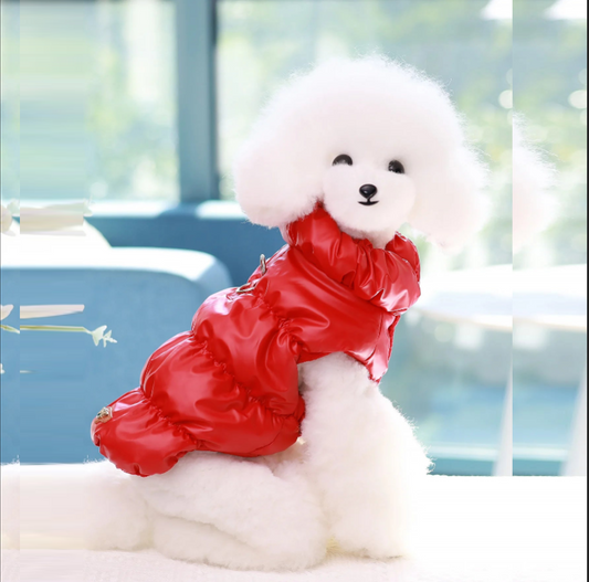 🐾❄️ 3-Layer Warm Dog Jacket – Autumn/Winter Cozy Pet Coat for Small & Medium Dogs (Poodle, Teddy, Yorkie)