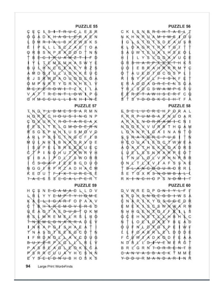 Puzzle Book | KAPPA Large Print Word Finds