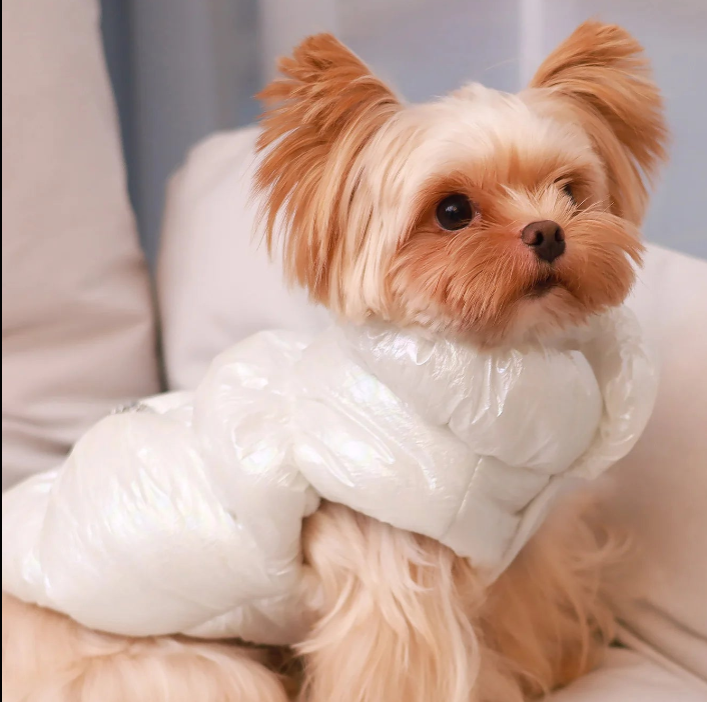 🐾👑 Winter Dog Fur Vest & Princess Skirt Coat – Warm, Windproof & Water-Resistant Jacket for Small Dogs