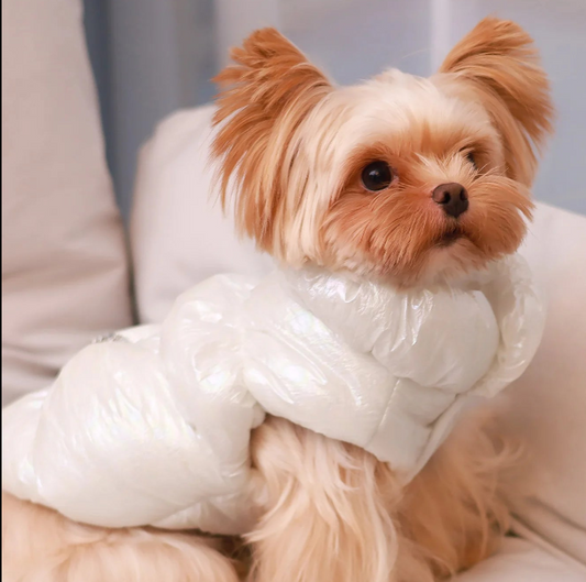 🐾👑 Winter Dog Fur Vest & Princess Skirt Coat – Warm, Windproof & Water-Resistant Jacket for Small Dogs