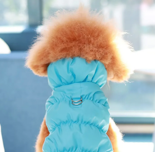 🐾❄️ 3-Layer Warm Dog Jacket – Autumn/Winter Cozy Pet Coat for Small & Medium Dogs (Poodle, Teddy, Yorkie)