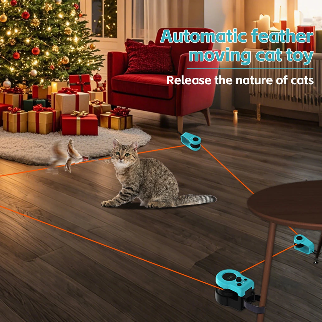 🐱🏃‍♂️ Interactive Cat Exercise Wheel – Adjustable Speed Indoor Treadmill