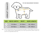 🌈🐾 Macaron Color Dog Harness Collar & Leash Set – Reflective