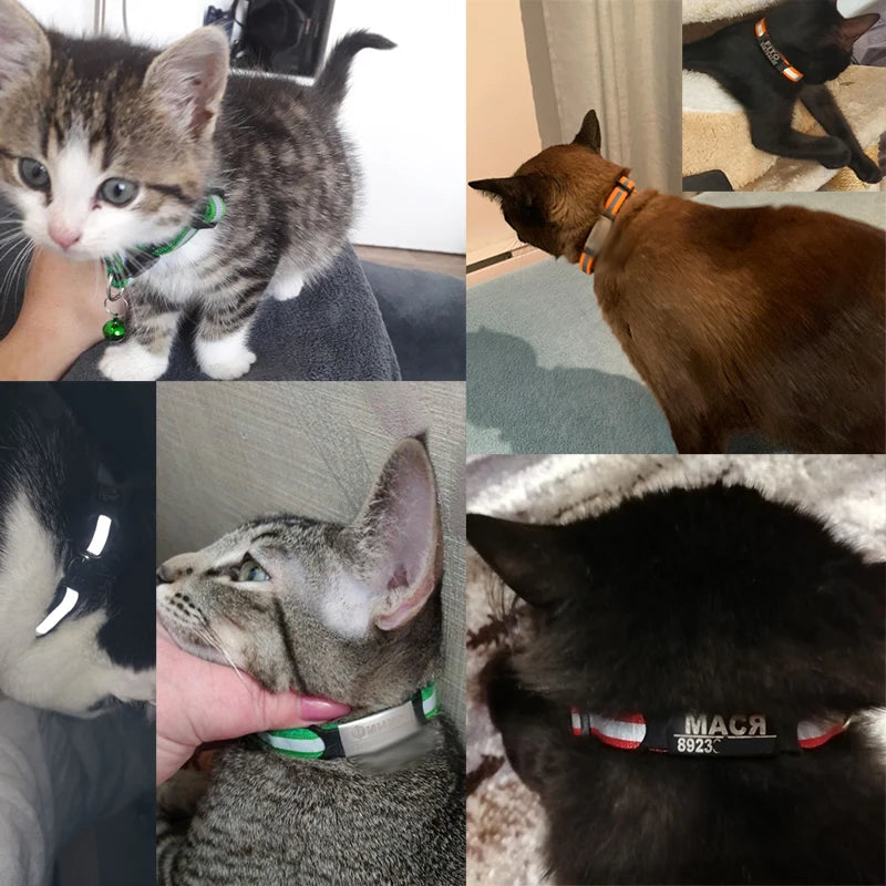 🐱✨ Reflective Adjustable Cat Collar – Personalized ID Free Engraving