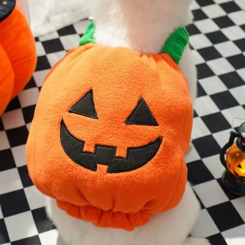 Halloween Pumpkin Dog Costume – Funny Hat & Jacket Outfit