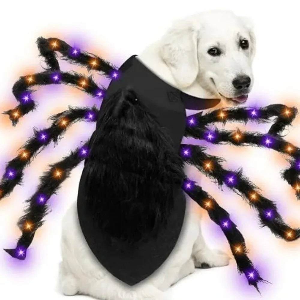 LED Spider Dog Costume – Funny Halloween Outfit for Large Dogs