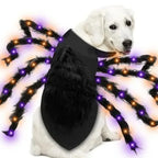 LED Spider Dog Costume – Funny Halloween Outfit for Large Dogs