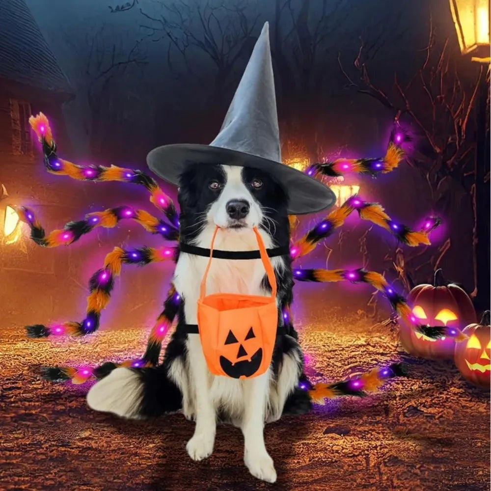 LED Spider Dog Costume – Funny Halloween Outfit for Large Dogs
