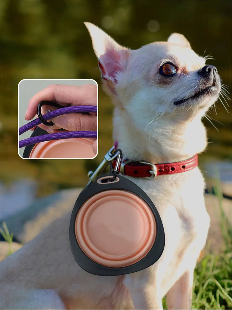 🐾🥣 Folding Silicone Pet Travel Bowl – Collapsible Outdoor Feeder