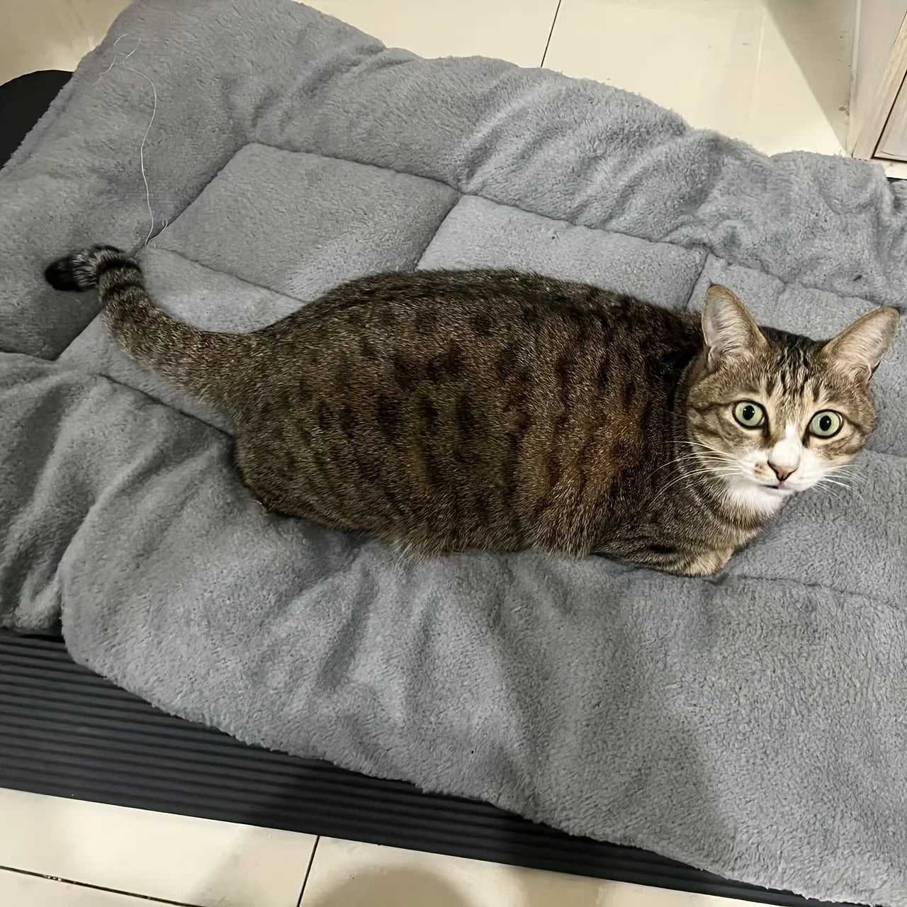 🛋️🐾 Oversized Plush Pet Bed Sofa – Ultra Soft Rectangle Mat