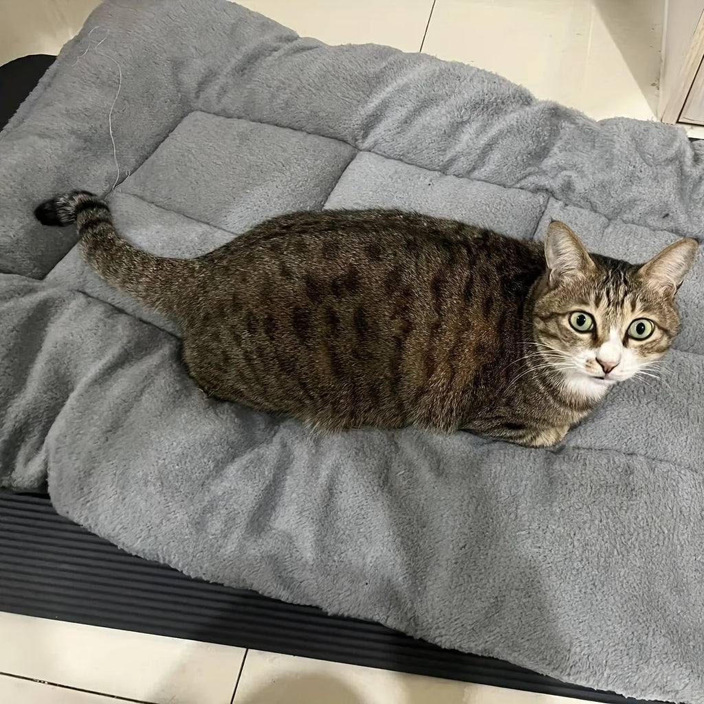 🛋️🐾 Oversized Plush Pet Bed Sofa – Ultra Soft Rectangle Mat