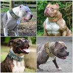Spiked Dog Collar 🦴 Anti-Bite PU Leather Rivet Collar for Large Dogs