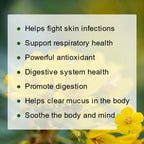 🌿 Mullein Leaf Tea Bags – Caffeine-Free Herbal Tea for Lung & Respiratory Wellness (28 or 60 Bags)