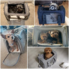 Soft Pet Carrier Backpack – Small Dog & Cat Travel Bag
