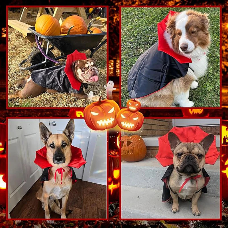 Halloween Vampire Pet Cape – Adjustable Cat & Dog Costume