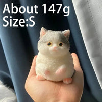 Blue White 147g