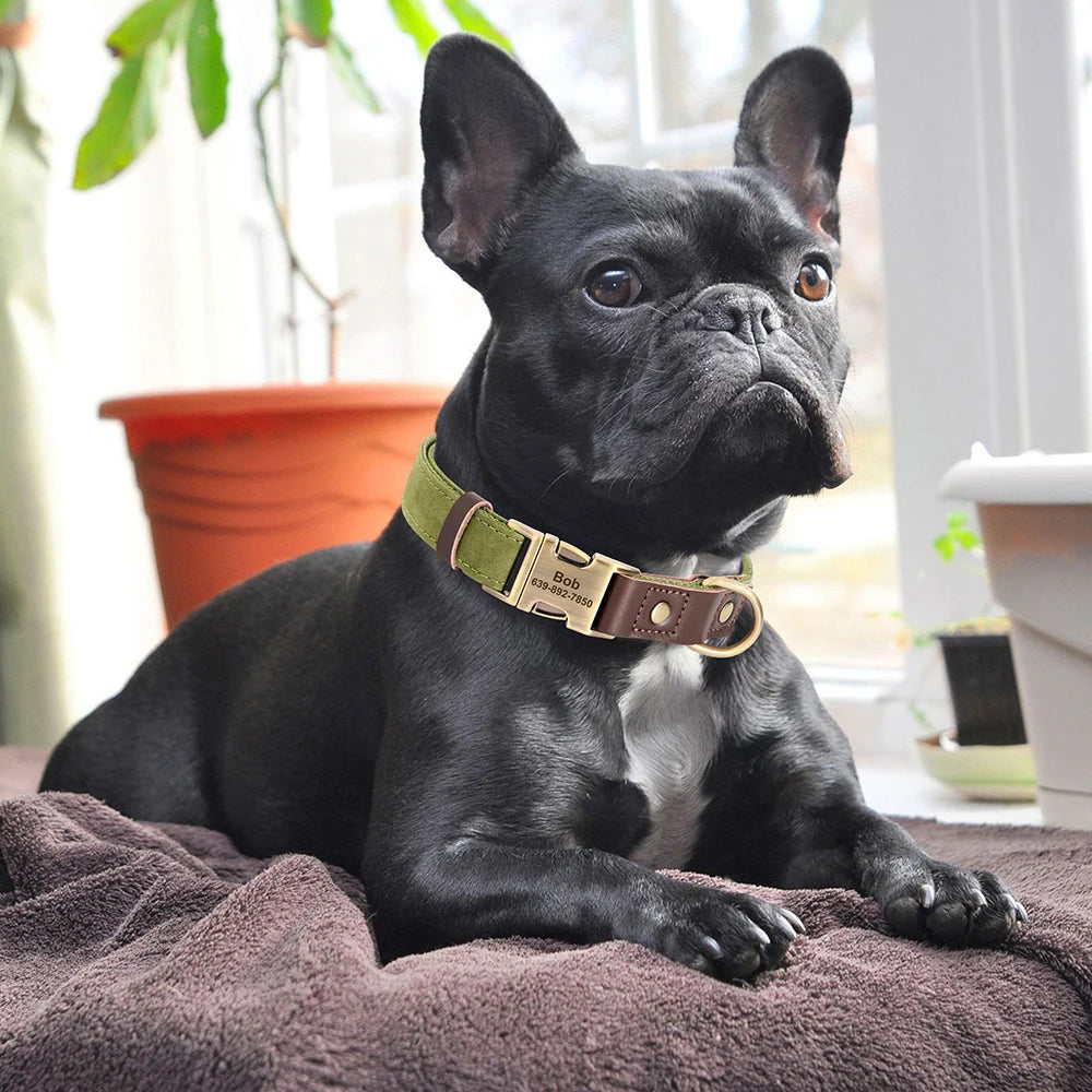🐶🏷️ Custom Engraved PU Leather Dog Collar – Adjustable ID Tag