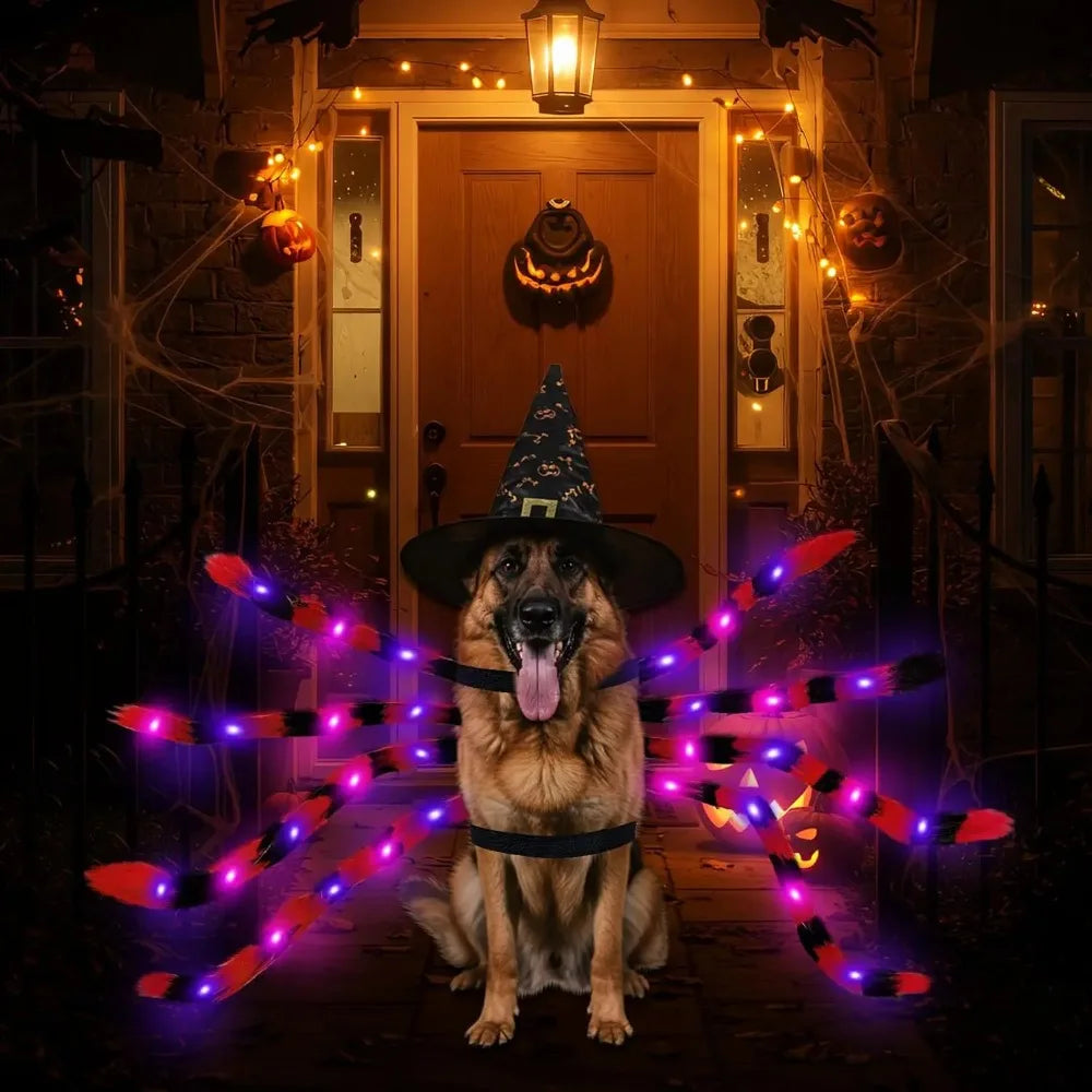 LED Spider Dog Costume – Funny Halloween Outfit for Large Dogs
