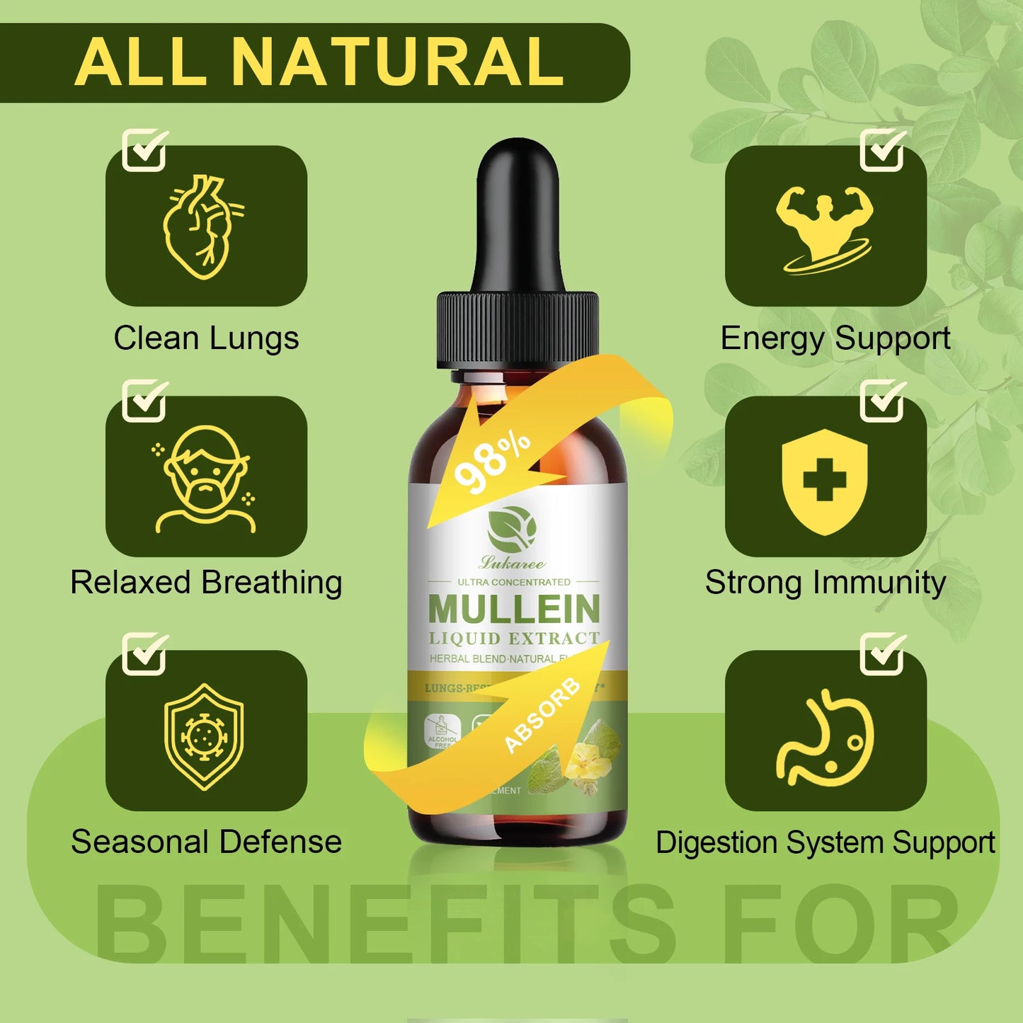 🌿Mullein Leaf Extract Drops 2 Fluid Oz. 1000mg | Lung Health 🌬️ | Breathing Support 😌 | Immune & Digestive Boost 💪 | CFDA Certified ✅ | 2 Fl. Oz. (60mL) Bottle 🧴
