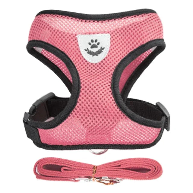 🐾🎽 Adjustable Mesh Cat & Small Dog Harness Vest with Leash