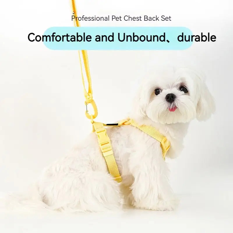 🌈🐾 Macaron Color Dog Harness Collar & Leash Set – Reflective